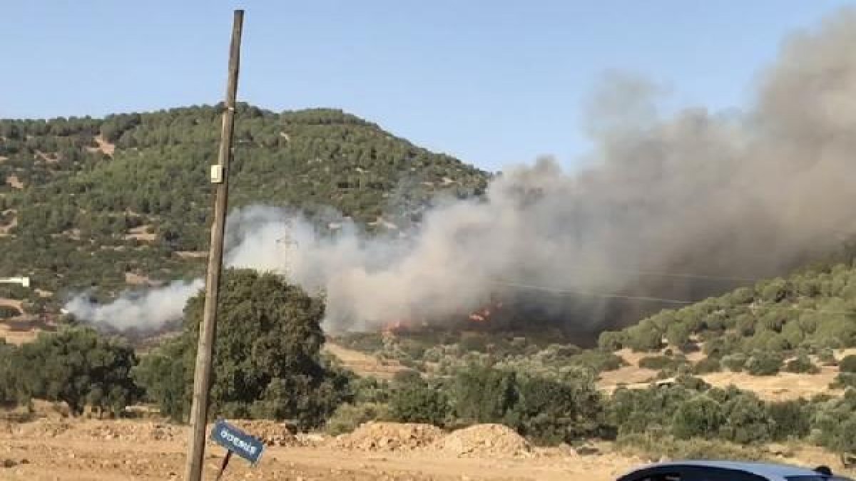 Ödemiş'te orman yangını