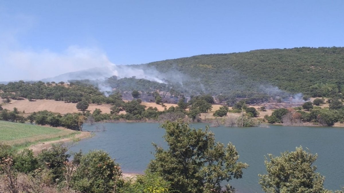 Balıkesir'de yangın: Havadan ve karadan müdahale