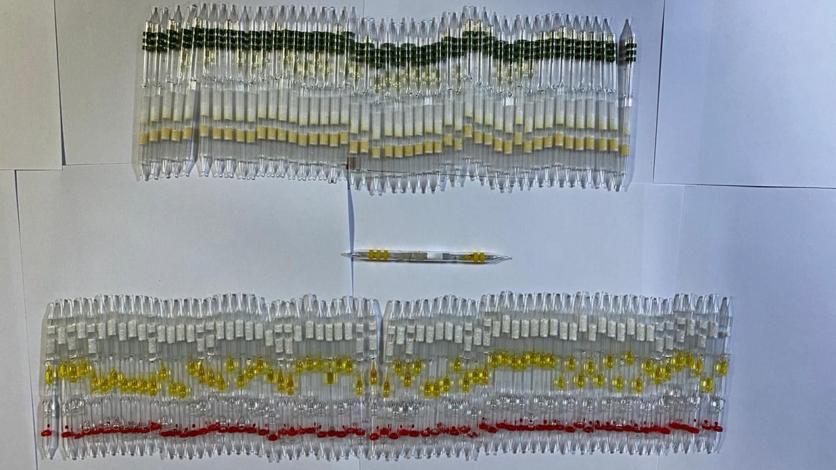 115 tüp kobra yılanı zehri ele geçirildi