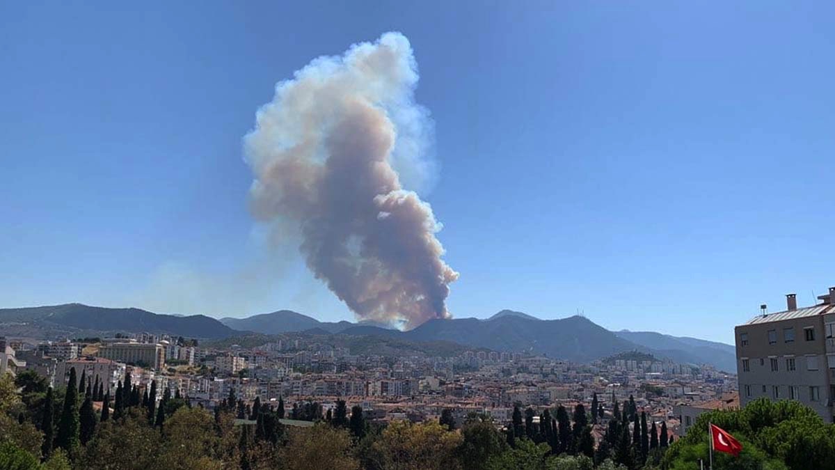 İzmir Balçova'da orman yangını-VİDEO