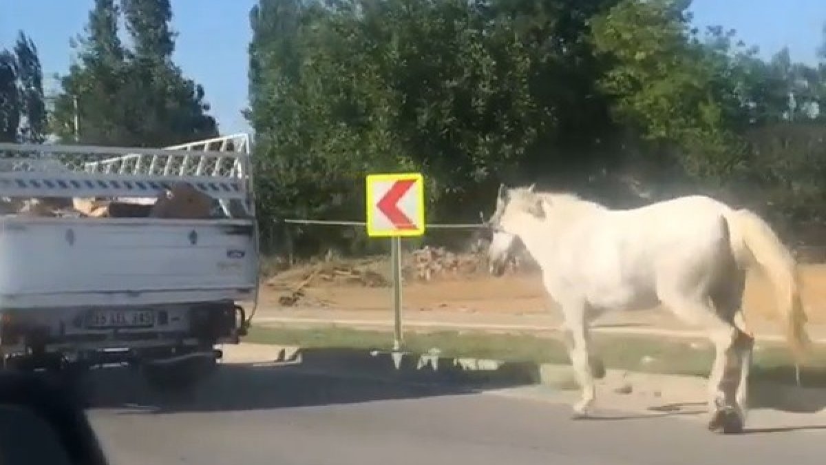 Bursa’da ata işkence