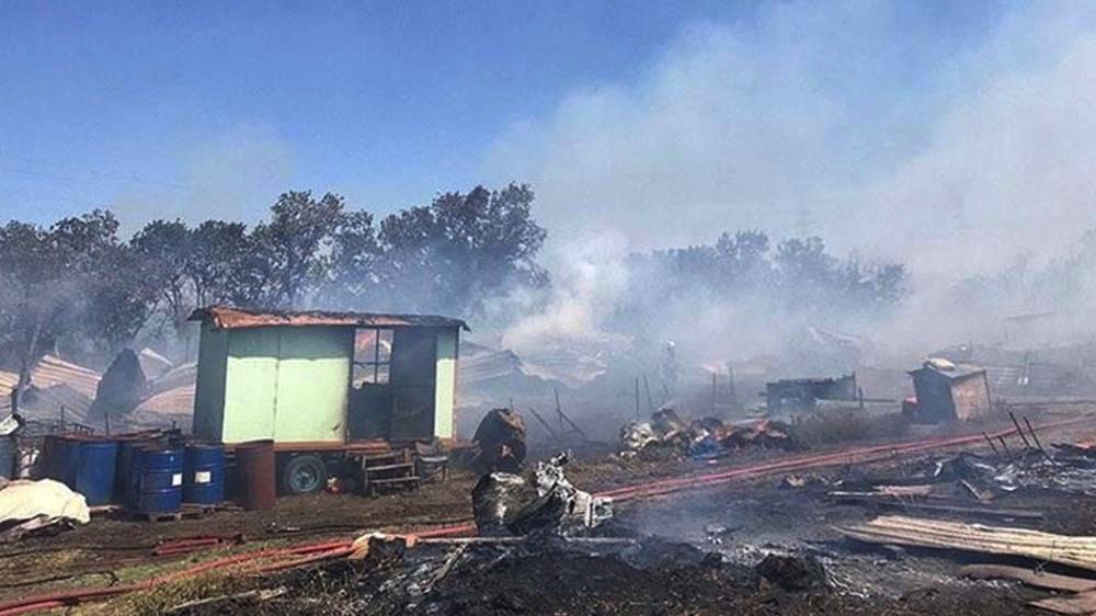Bursa'da orman yangını: Çok sayıda hayvan hayatını kaybetti