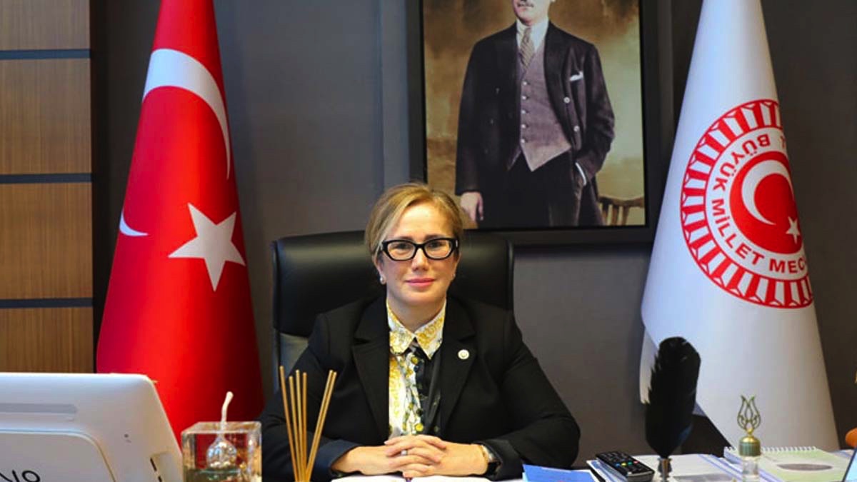 AKP'li Kalsın'dan İstanbul Sözleşmesi tepkisi: Ziyan bir tutum