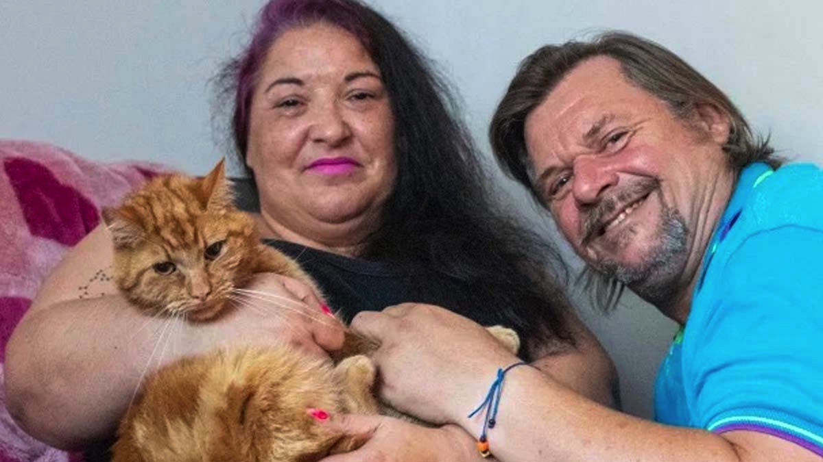 Bir kedi 64 kilometre yürüyerek eski sahibini buldu