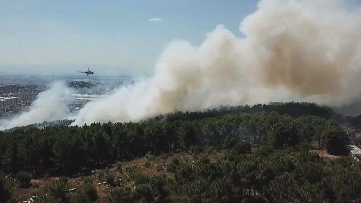 İstanbul'daki Aydos Ormanı yangınında bir gözaltı