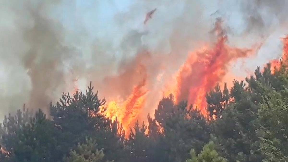 Kastamonu'da orman yangını