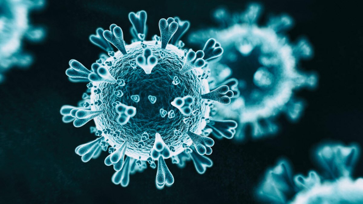 Çin'den yeni virüs salgını uyarısı