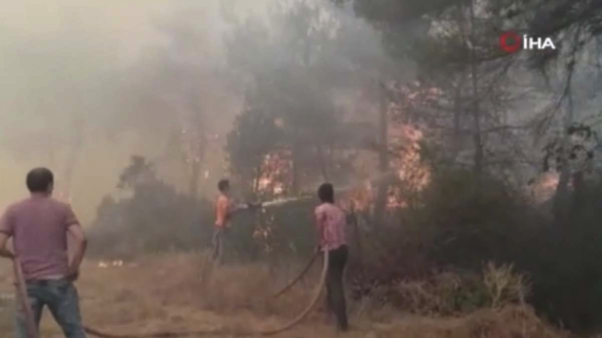 Sakarya'da orman yangını: Evlere sıçramaması için uğraşılıyor - VİDEO