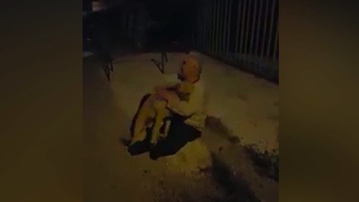 3 aydır kayıp olan köpeğine kavuştu-VİDEO