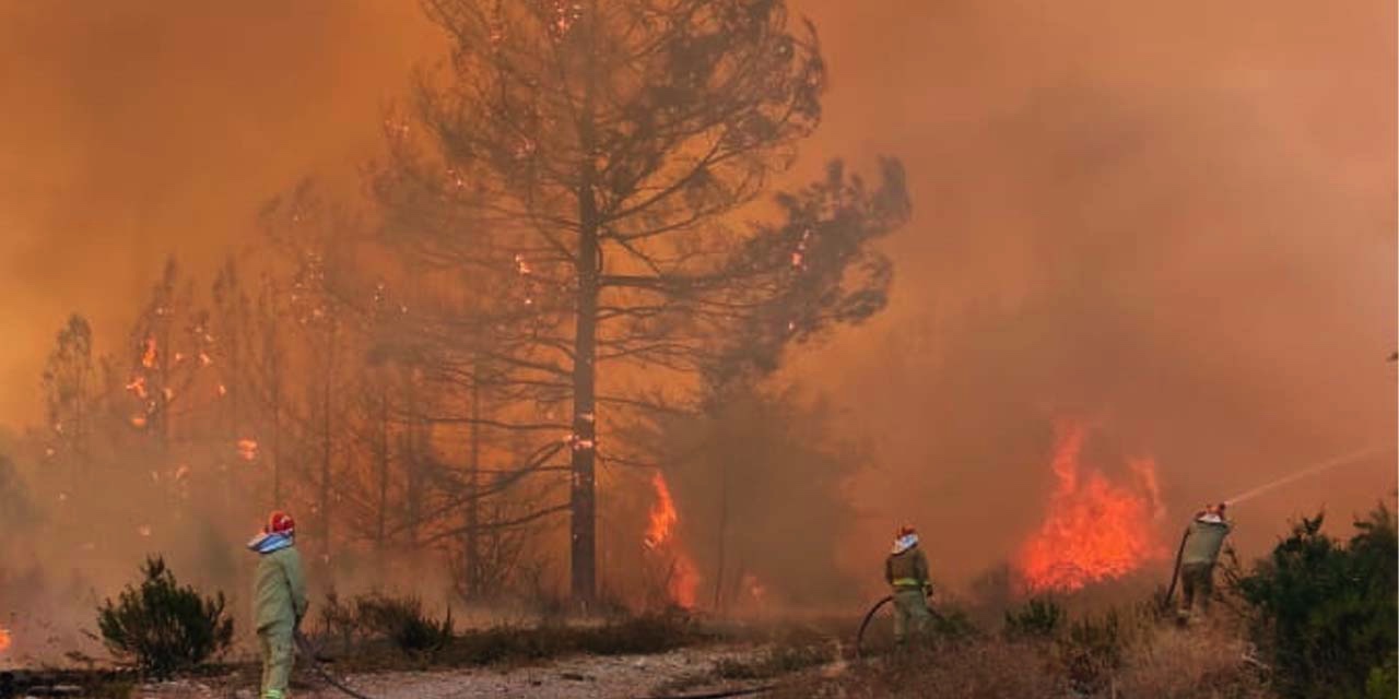 Devlet Su İşlerine bağlı ormanda yangın