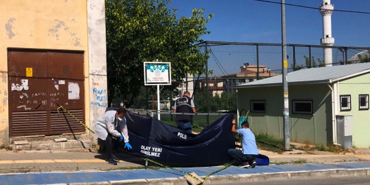 Yürüyüş yapmak için evden çıkan kişi parkta ölü bulundu