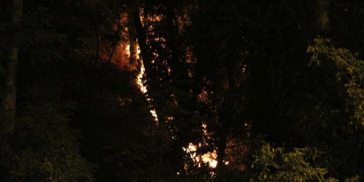 Emirgan Korusu'ndaki yangın söndürüldü