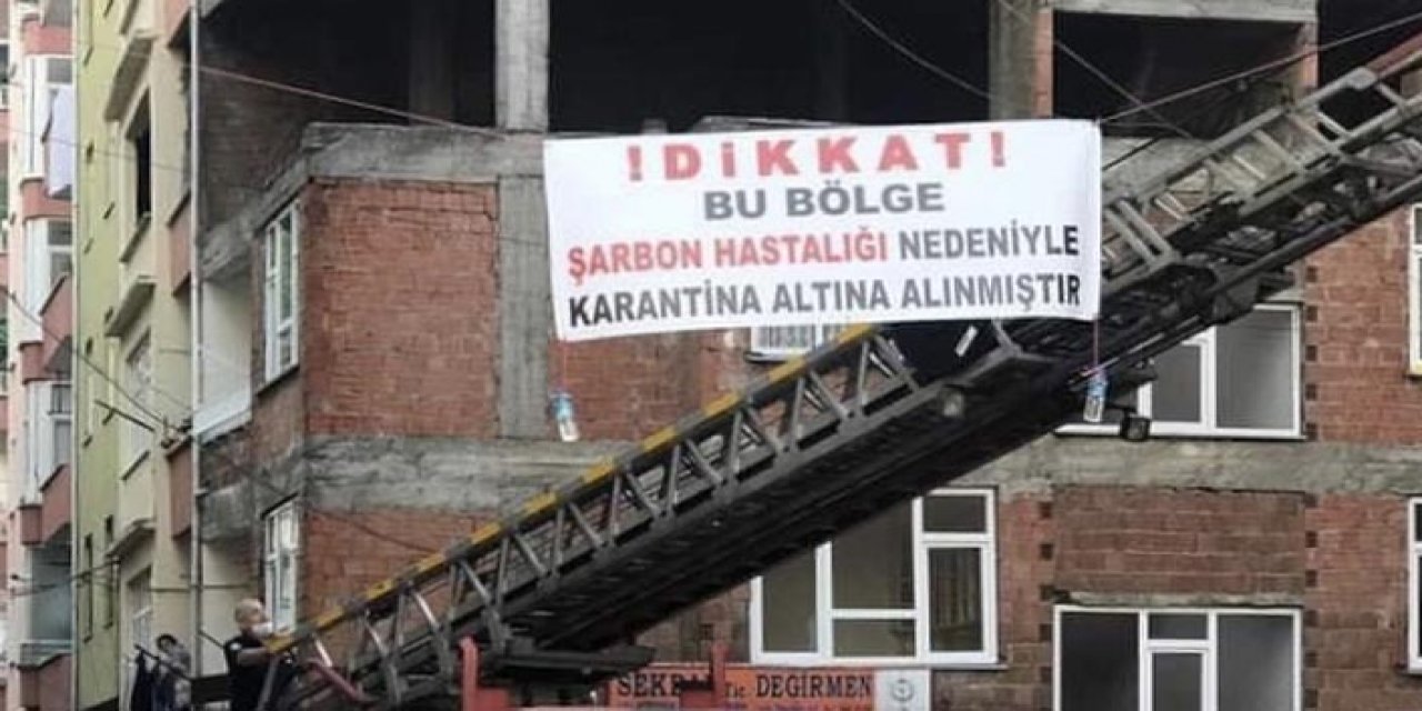 Trabzon'da şarbon tespit edildi: Mahalle karantinaya alındı