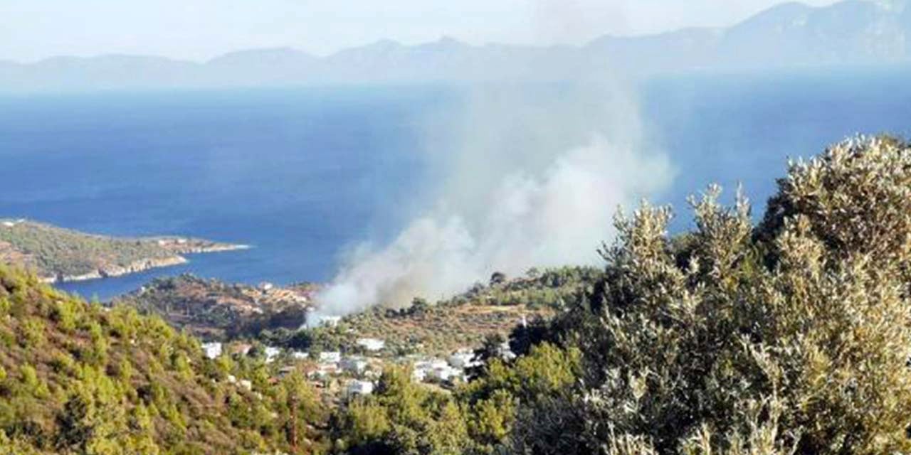 Bodrum'daki orman yangını kontrol altına alındı