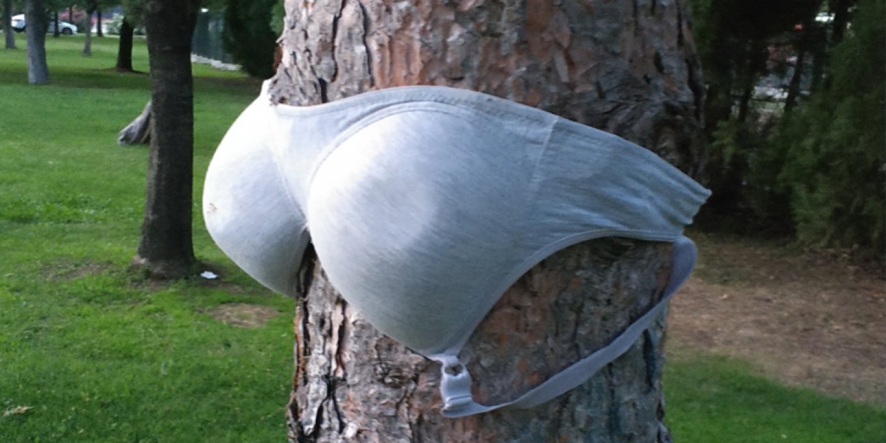 Parkta ağaçlara sütyen astılar