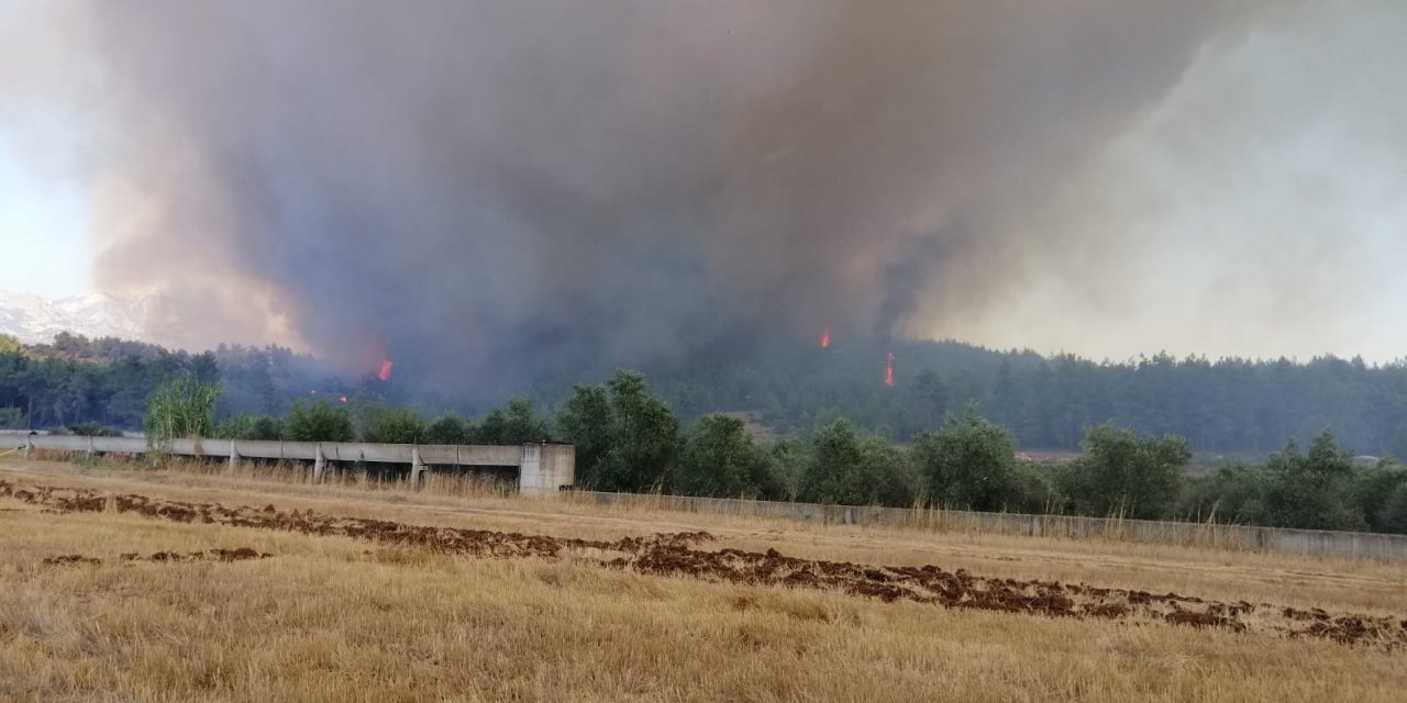 Antalya'daki orman yangını kontrol altına alınamıyor