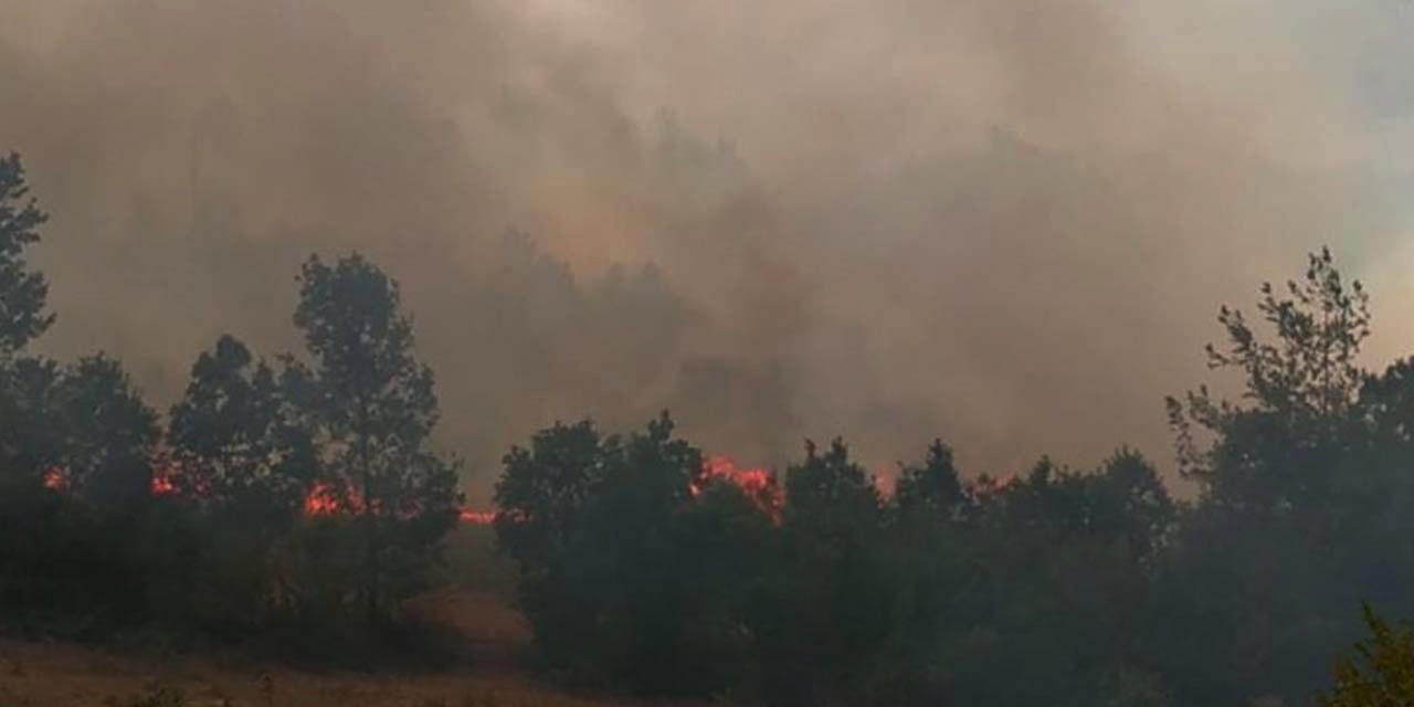 Adana Kozan'da orman yangını: 6 köy boşaltıldı, yanan alan 150 hektarı geçti