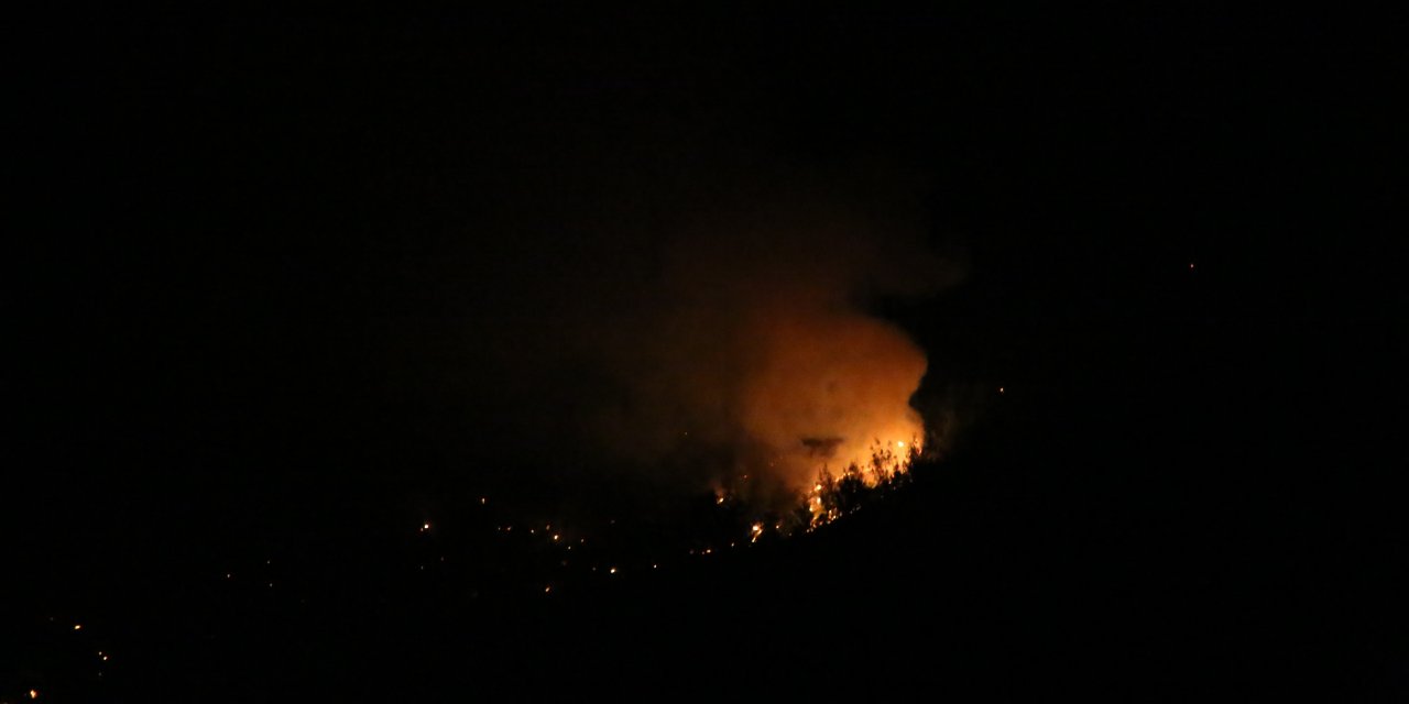 Adana'daki orman yangını devam ediyor