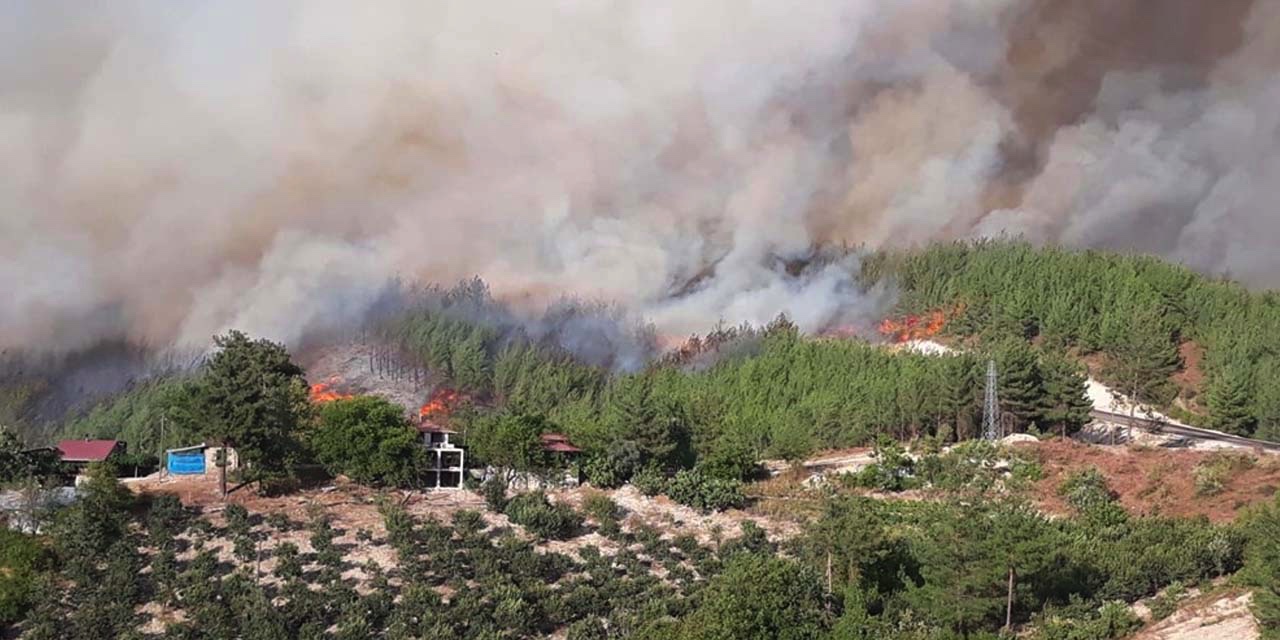 Adana Kozan'daki yangın üçüncü günde kontrol altına alındı