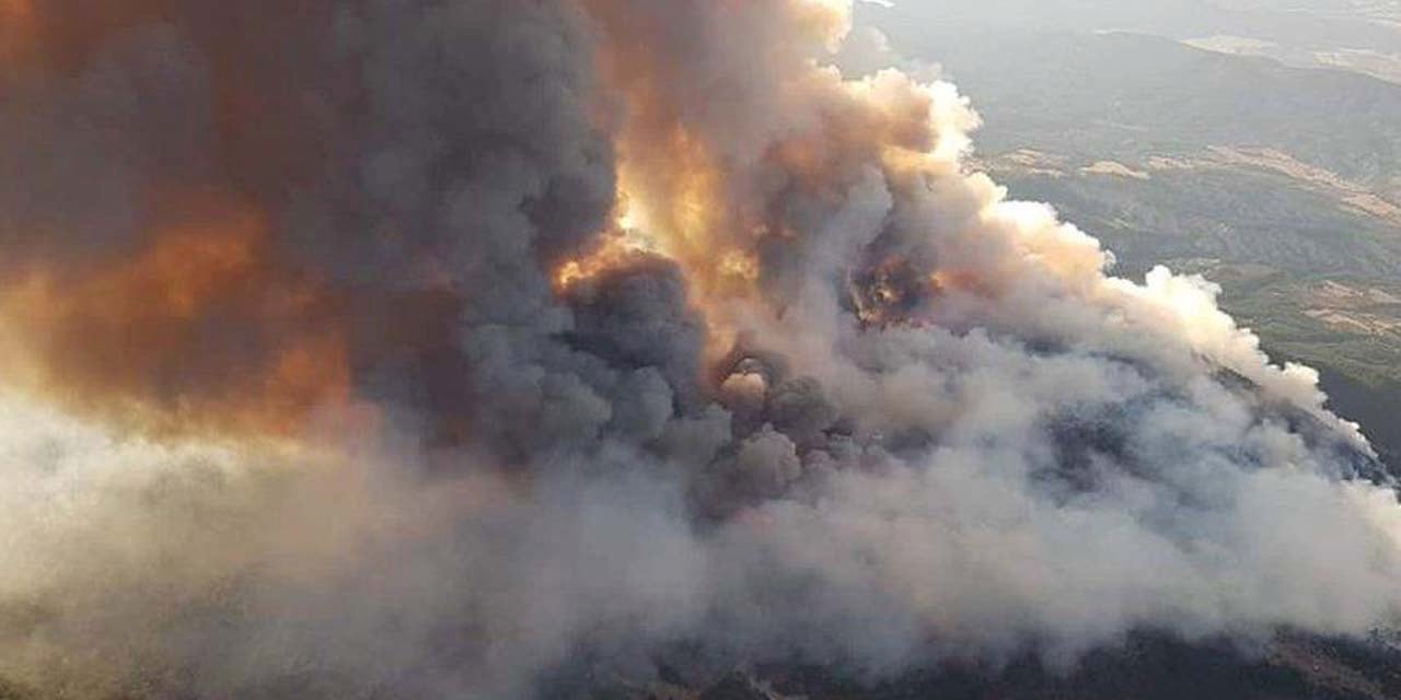 Ankara'daki orman yangınına müdahale sürüyor