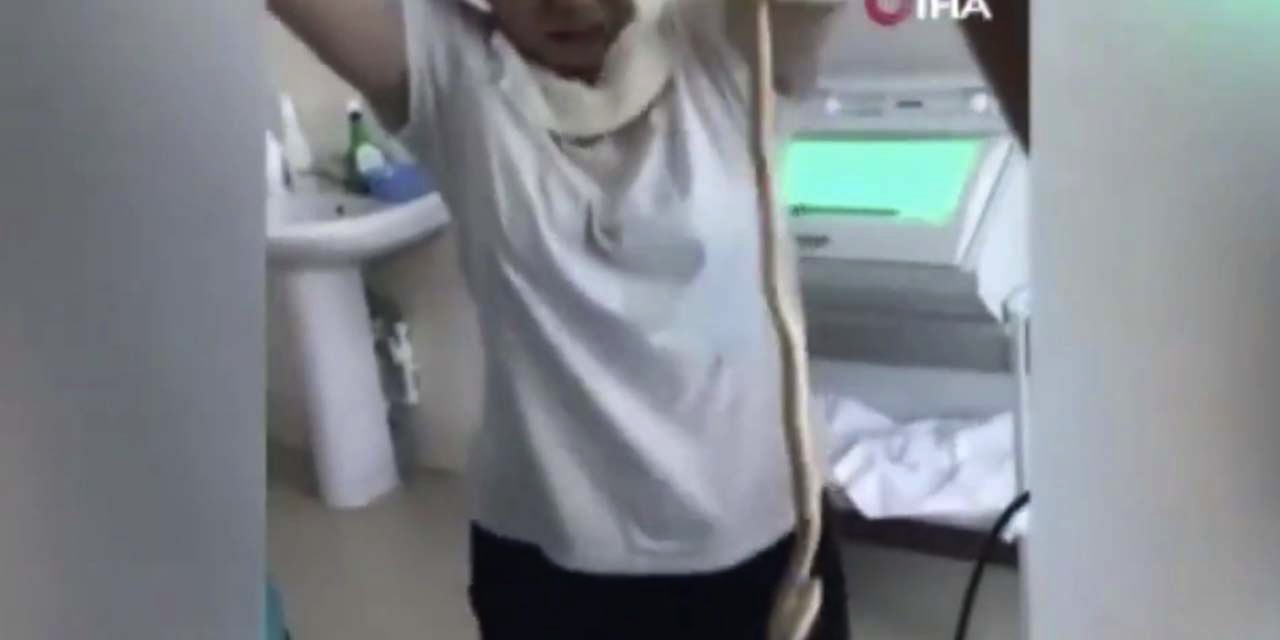 Uyurken ağzına giren yılan ameliyatla çıkarıldı - VİDEO