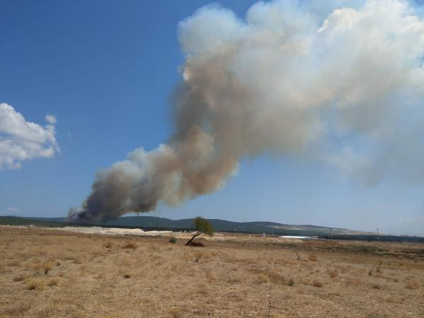 Gelibolu'da orman yangını: Ekipler müdahale ediyor