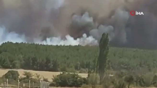 Tekirdağ'daki yangın Çanakkale'ye ilerliyor