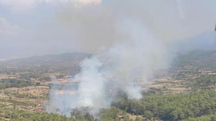 Muğla'daki orman yangınında 1 hektarlık alan zarar gördü
