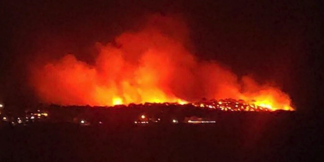 Ayvalık'ta korkutan yangın kontrol altına alındı: Yaklaşık 80 hektar orman kül oldu