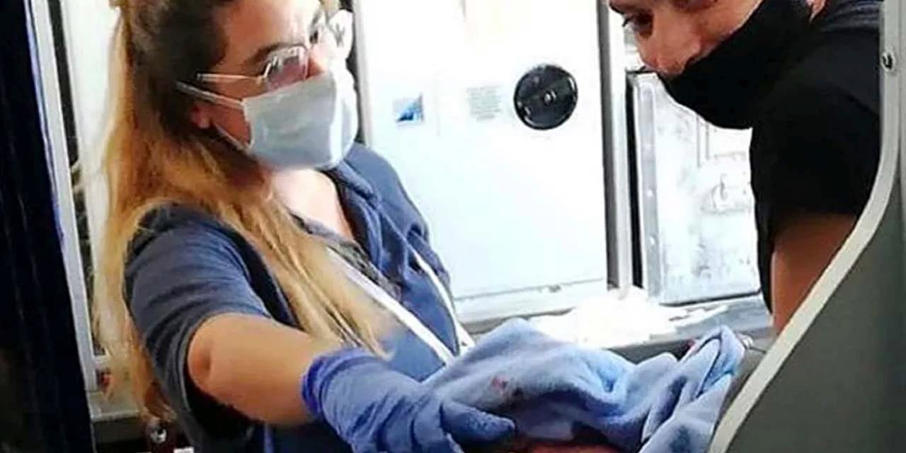 Uçuşta doğan bebeğe ömür boyu hediye