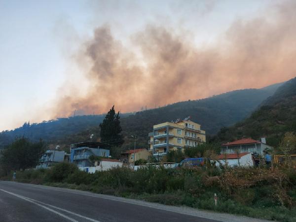 Aydın'daki yangında 50'ye yakın ev tahliye edildi