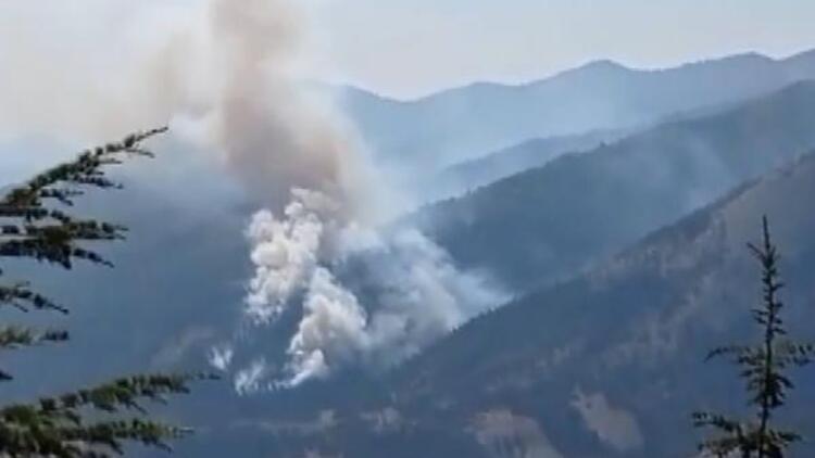 Adana'da ormanlık alanda yangın