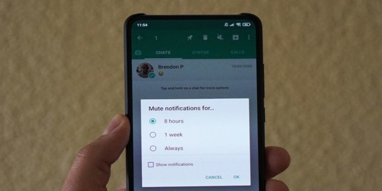 WhatsApp yeni özelliği devreye soktu