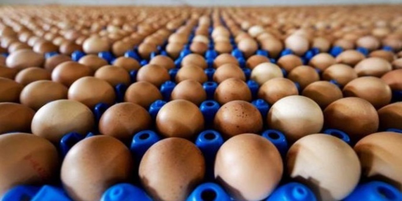 Yumurtaya bir yılda yüzde yüz zam