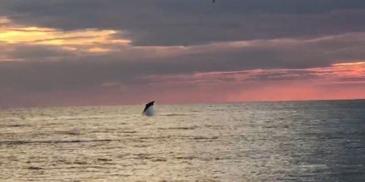 Telefonlarına sarıldılar