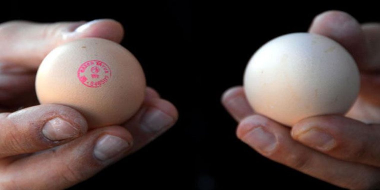 Yumurtaya dikkat!