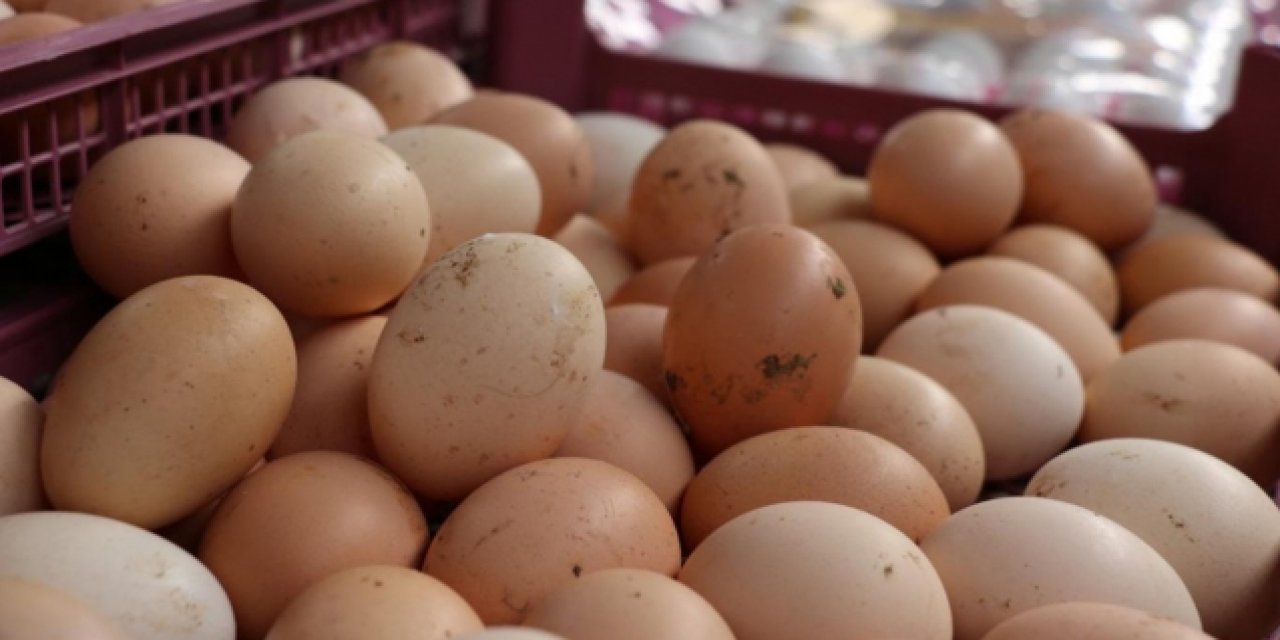 Yumurta üreticileri yüzde 12 zarar etti