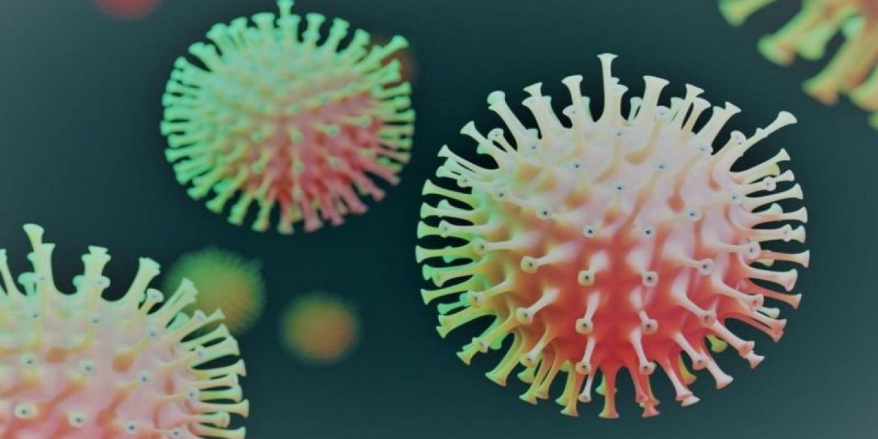 Dünya Sağlık Örgütü'nden mutasyonlu koronavirüs açıklaması