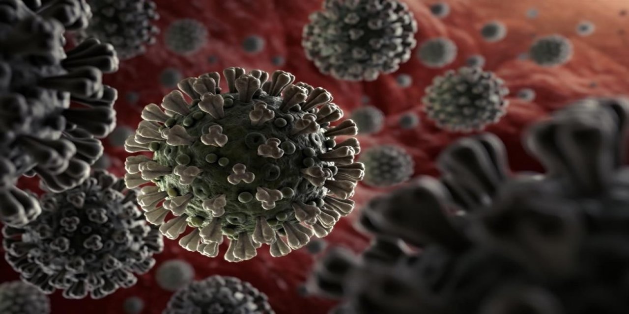 Bilim Kurulu üyesinden flaş koronavirüs mutasyon açıklaması