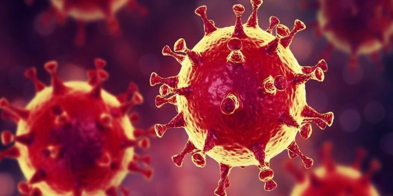 Mutasyona uğrayan koronavirüs bir ülkede daha görüldü