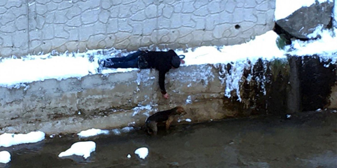 Donmak üzere olan köpeği bakın nasıl kurtardı