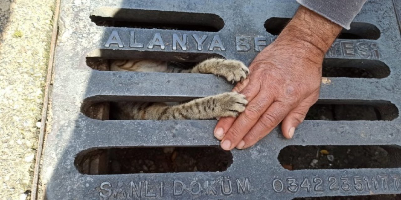 Mazgala sıkışan yavru kedi itfaiye ekiplerinin elini böyle tuttu