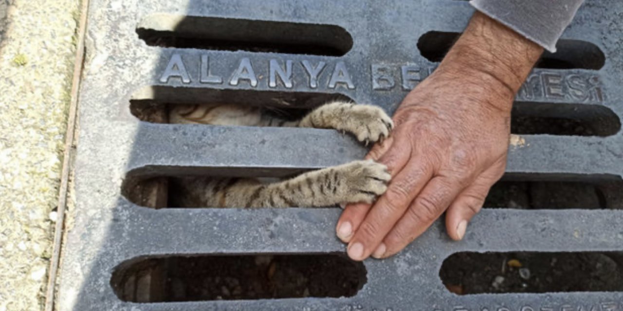 Mazgala sıkışan yavru kedi kurtarıldı: O anlar duygulandırdı