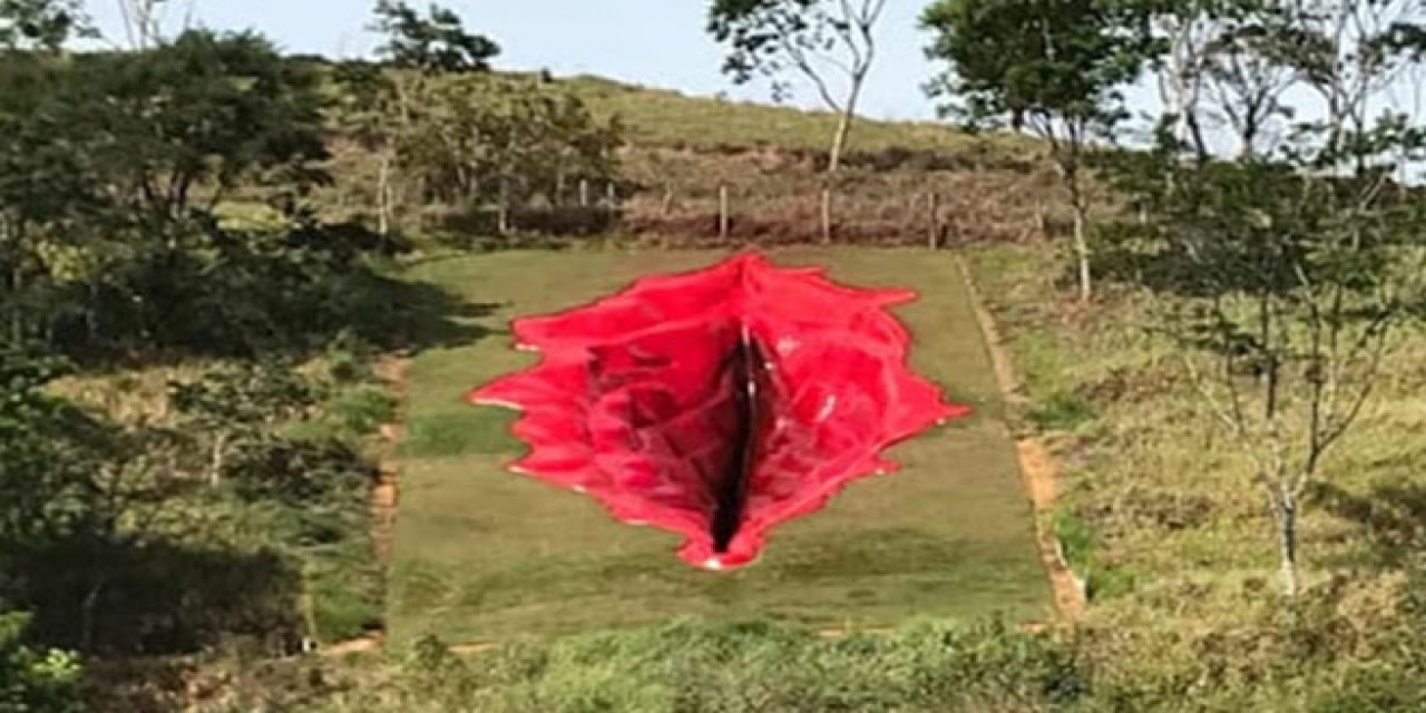 Vajina heykeli kızdırdı