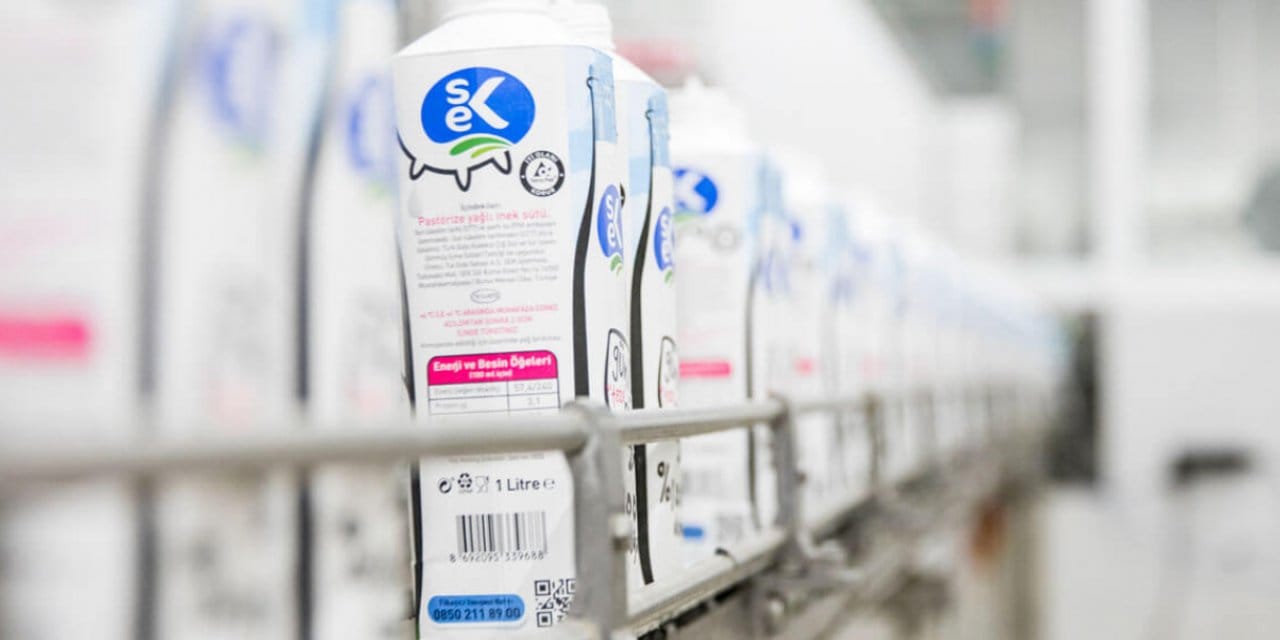 Koç Holding, SEK'i sattı