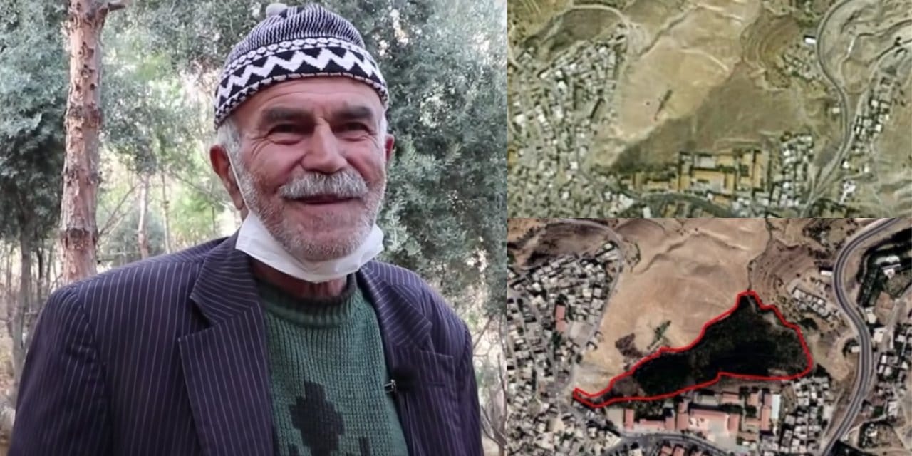 Fidanlar ağaca, ağaçlar ormana: Mardin'de 11 bin ağaç diken 'Şeyhmus Amca'nın hikâyesi