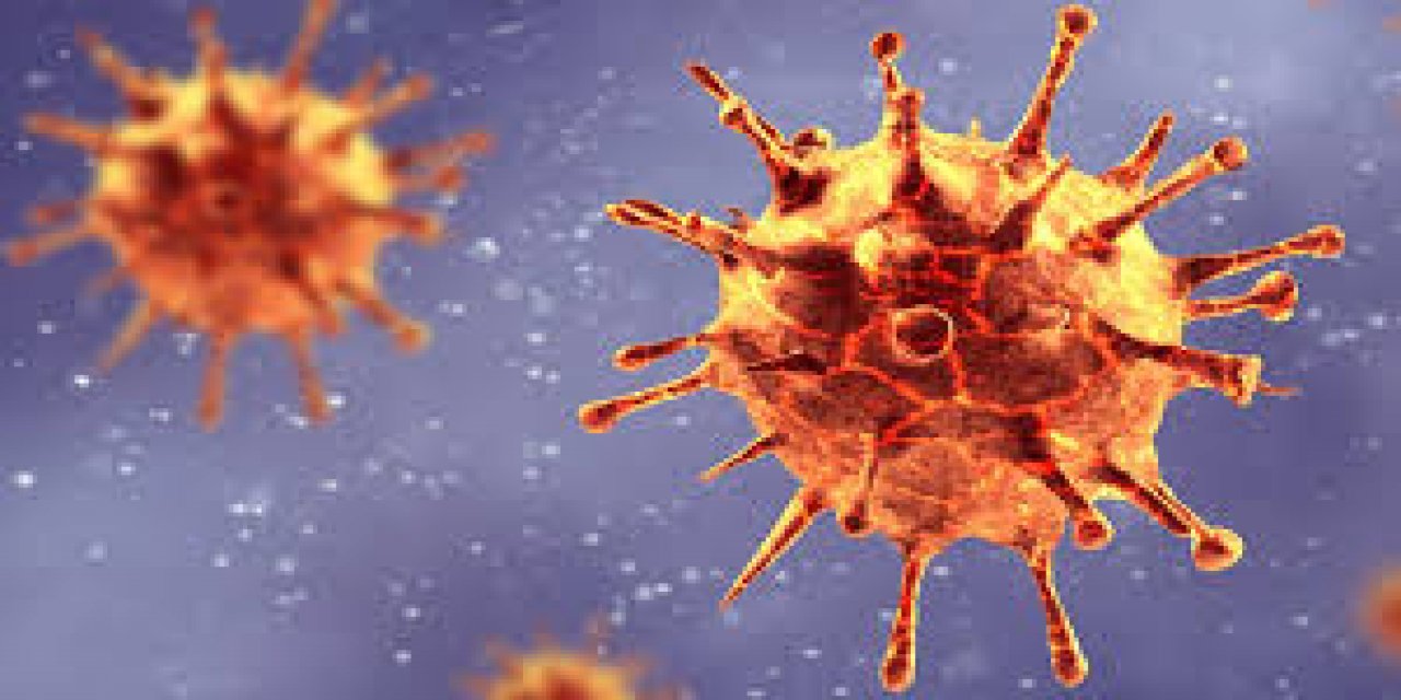 Koronavirüse yüzde 90'dan fazla benzeyen yeni virüs türü keşfedildi