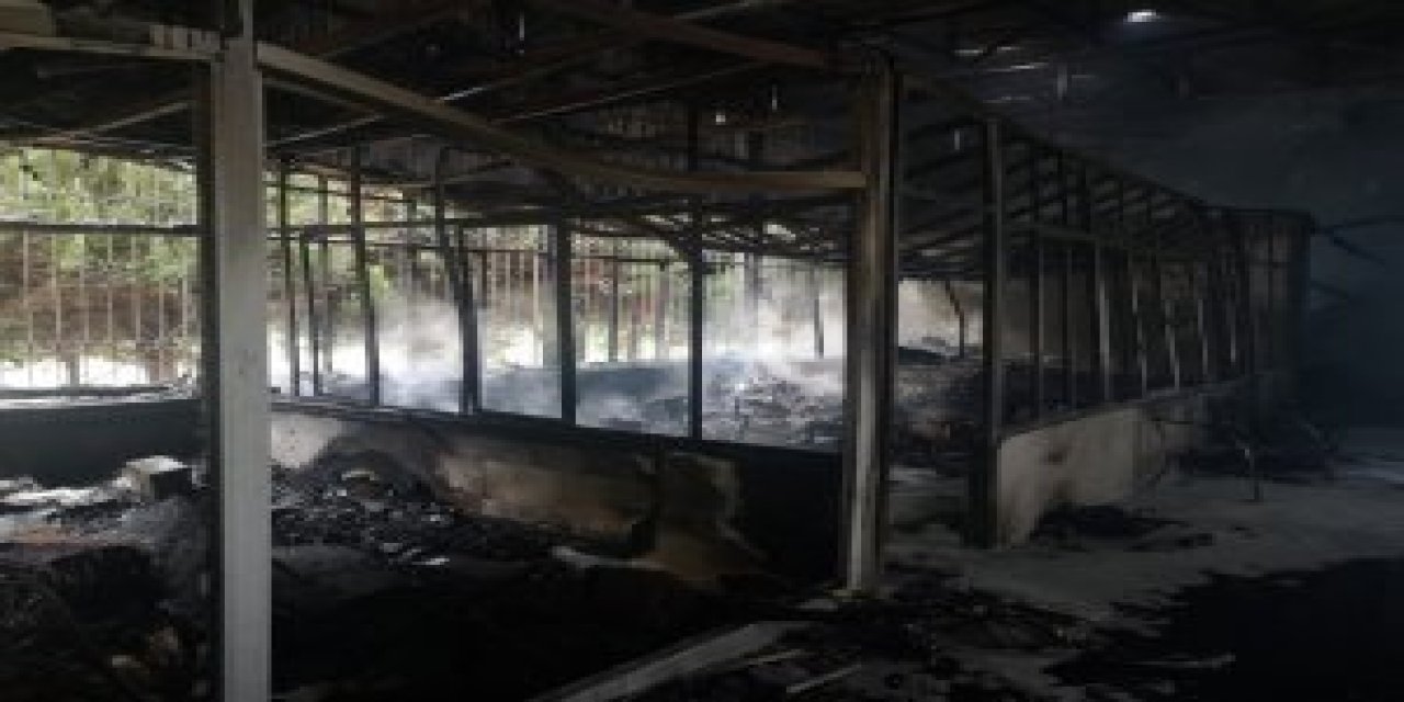 PKK İzmir'de Saadet Partisi'ne saldırdı: İşyeri yakıldı