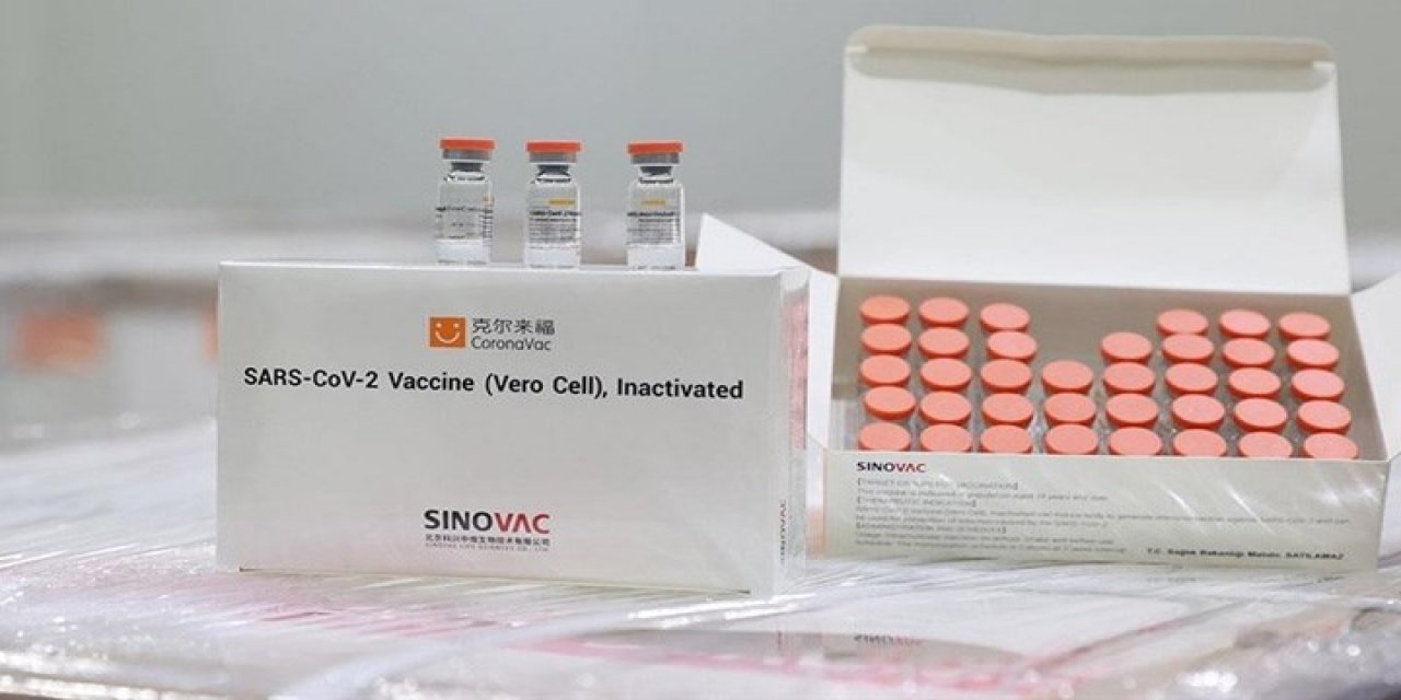 SinoVac aşısının faz 3 çalışmaları için ilk kez konuşuldu