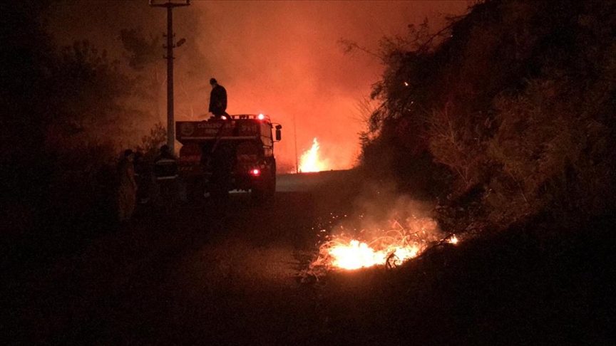 Kastamonu'da orman yangını mahalleye sıçradı